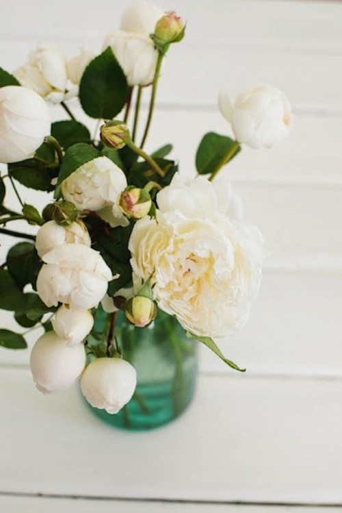 peonies
